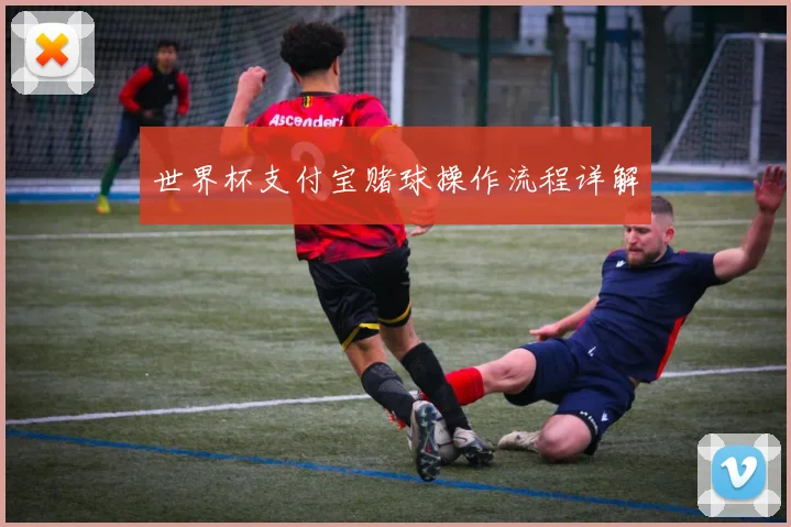 世界杯支付宝赌球操作流程详解
