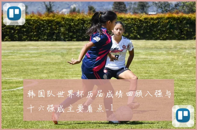 韩国队世界杯历届成绩回顾八强与十六强成主要看点_1