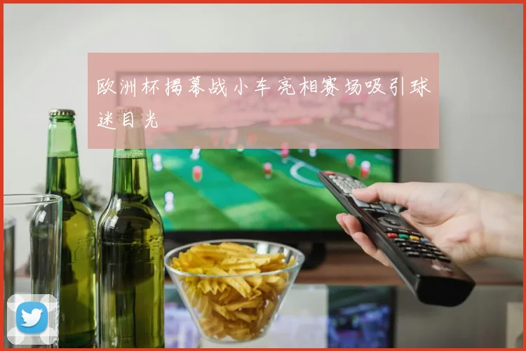 欧洲杯揭幕战小车亮相赛场吸引球迷目光