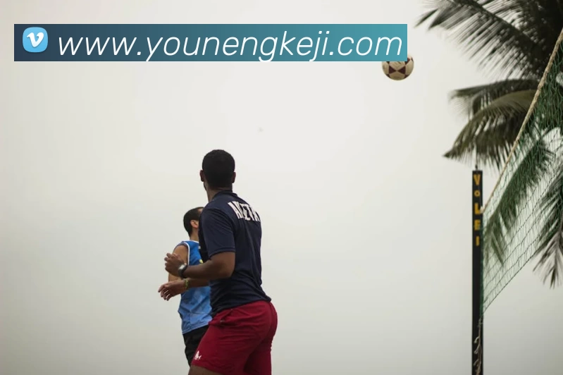 多媒体互动体验